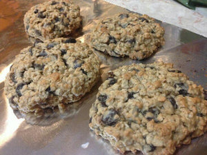 Easy Oatmeal Chocate Chip Cookies